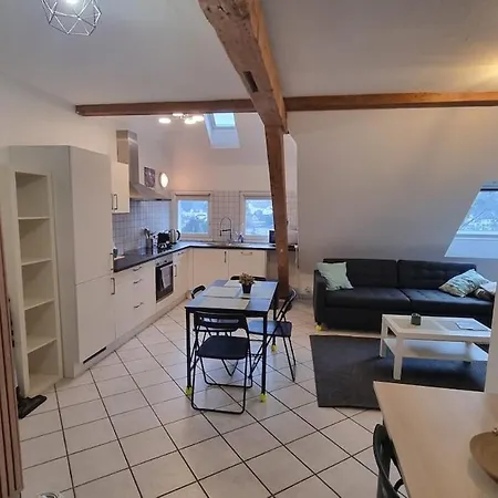 Duplex Sous Mon Toit * Altkirch